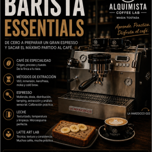 Curso Barista Essentials
